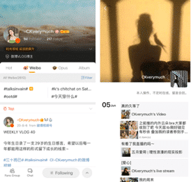 chinese popular social media