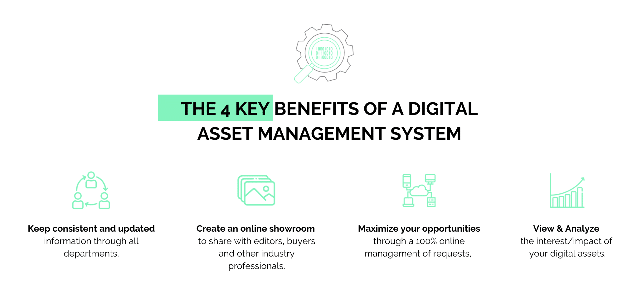 digital asset management launchmetrics